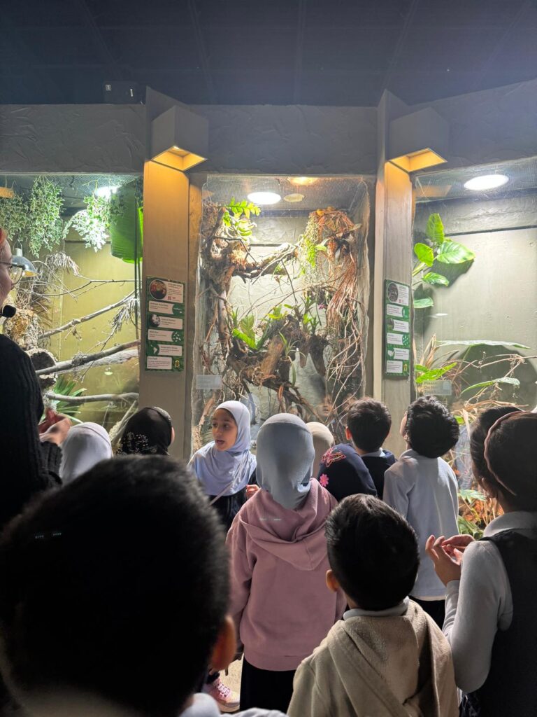 Grade 1’s Trip to Reptilia